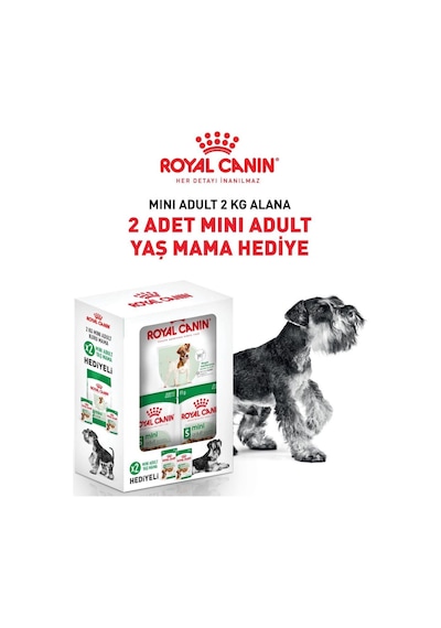 Royal Canin Mini Adult Küçük Irk Yetişkin Köpek Maması 2 Kg + 2 Adet Pouch Hediyeli