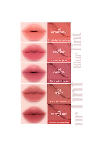 Blur Efektiyle Dolgun Görünüm Sunan Kadife Bitişli Tint Clıo Volumate Blur Tint 111 Antique Red Plum