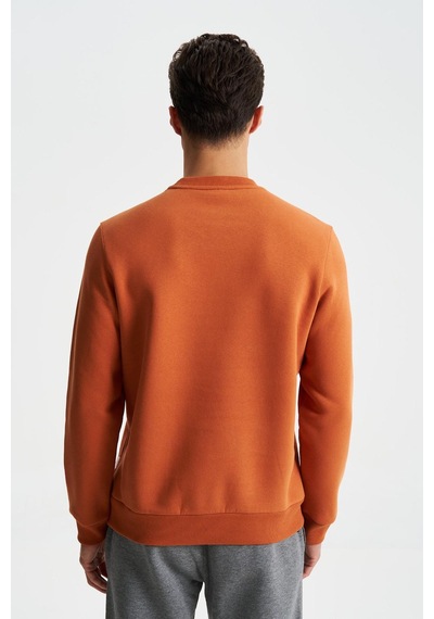 AR-MA Arma Erkek Regular Fit 3 İplik Şardonlu Pamuklu Bisiklet Yaka Sweatshirt 001