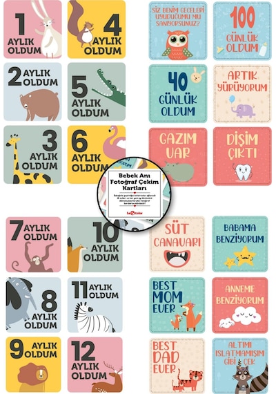 Bebek Anı Defteri Erkek Stickerlı + Çekim Ve Zeka Kartları Seti