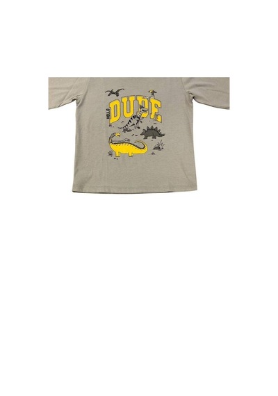 Divonette Erkek Çocuk Dinazor Baskılı Uzun Kollu T-shirt-15088 Gri