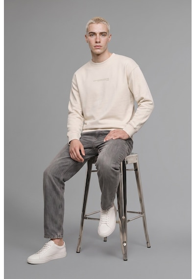 Defacto Boxy Fit Bisiklet Yaka Baskılı Sweatshirt X8282az25aubg672 Bej
