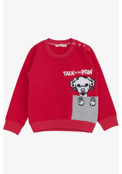 Breeze Kız Çocuk Sweatshirt Köpek Baskılı 2-6 Yaş, Fuşya