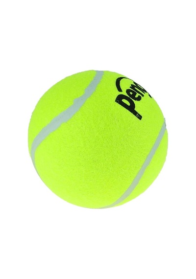 Köpek Oyun Tenis Topu 12.5 Cm 1'li Orta Boy