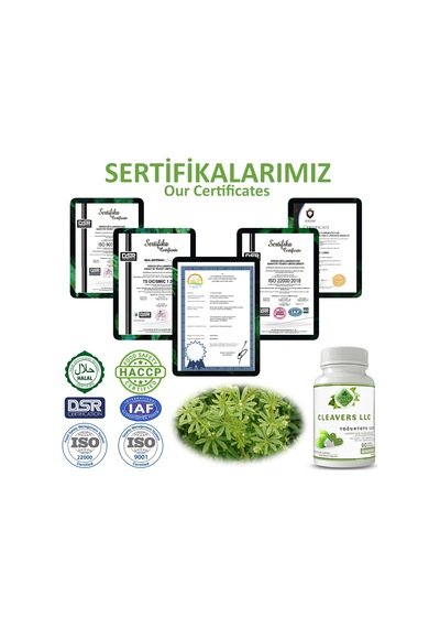 Gökçek Şifa Yoğurt Otu LLK (Cleavers Llc Capsule) 60 Kapsül