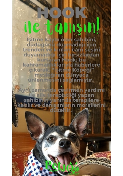Petjoo 7.Hook Yeşil-Gri Qr'lı Köpek Künyesi
