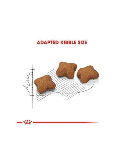 Sterilised Kitten Kısırlaştırılmış Yavru Kedi Maması 2 Kg