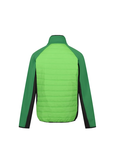 Regatta Clumber Iv Hybrid Erkek Ceket-yeşil