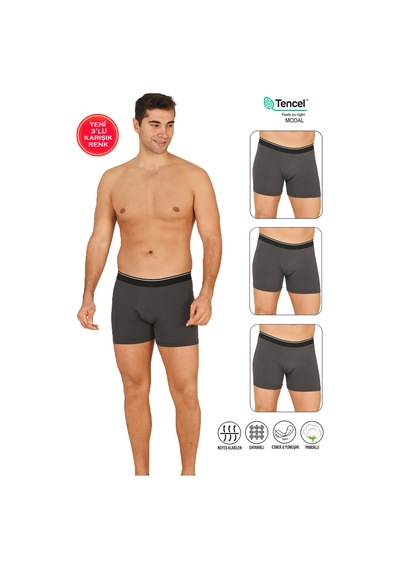Özkan Underwear Özkan 11256 3'lü Paket Erkek Premium Kumaş Modal Pamuklu Esnek Yumuşak Boxer Şort Antrasit