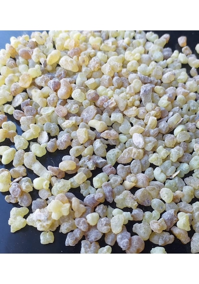 Ak Günlük Sığla Ağacı Sakızı 100 G