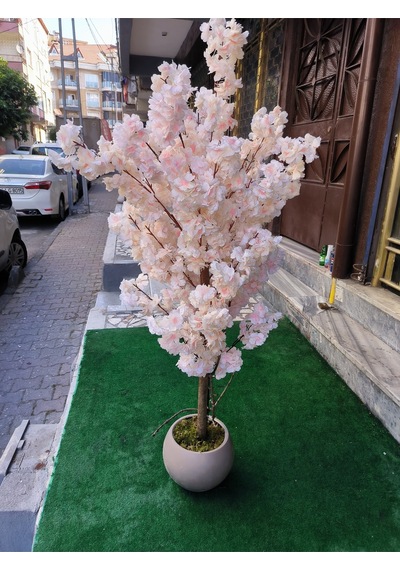 Rüzgar Yapay Çiçekçilik 150 Cm Yükseklikte Bahar Dalı Ağacı Krem