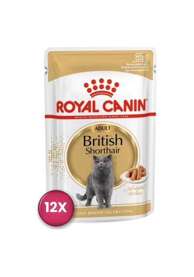Royal Canin British Shorthair Pouch Yetişkin Kedi Konservesi 85 Gr X 12 Adet