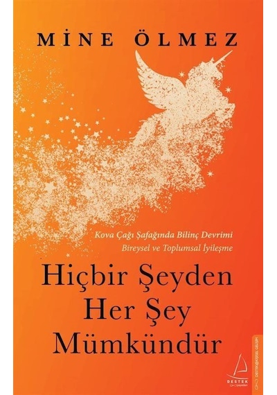 Hiçbir Şeyden Her Şey Mümkündür - Mine Ölmez - Destek Yayınları