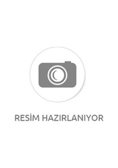 G-zıllı-mod65079-c4-60-2024 Çok Renkli