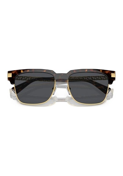 Versace 0ve4447 108/8755 Enjeksiyon Erkek Güneş Gözlüğü Kahverengi