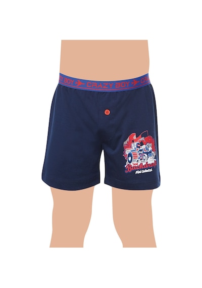 Tutku 6'lı Erkek Çocuk Elastan Baskılı Boxer Kombin 0253 Kombin