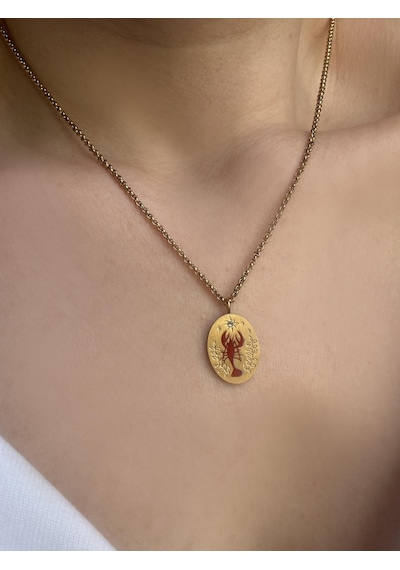 Çelik Lobster Kolye Gold