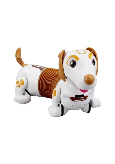 Sıl 88740 Robo Dash D Asorti