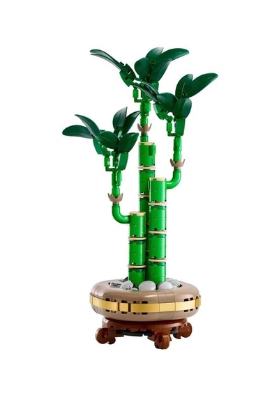 10344  Botanicals Şans Bambusu 325 Parça +18 Yaş