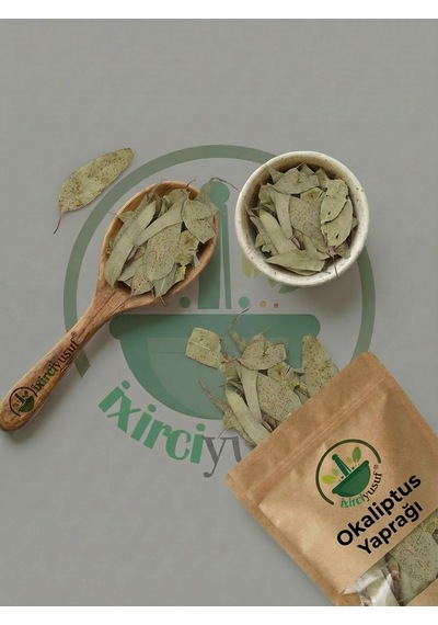 İxirciyusuf Okaliptus Yaprağı Okaliptüs Eucalyptus Leaf Eucalyptus Globulus Kurutulmuş Bitki 100 G Doğal