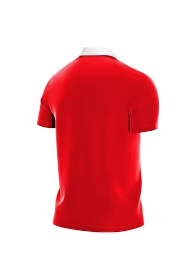 Nike M Nk Df Park20 Polo Ss Cw6933-657 Erkek Polo Yaka Tişört 001