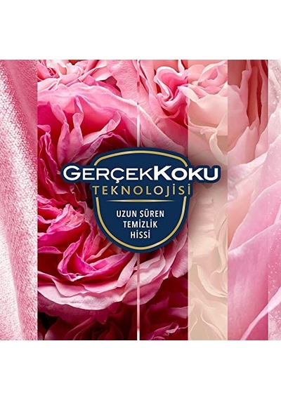 Aerosol Aşkın Büyüsü Oda Kokusu 300 Ml 1 X 300 Ml Abundance Prosperity