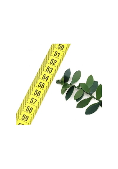 14 Metre Şerit Yapay Çiçek Doğalgaz Borusu Süsü Telli Taç Sarmaşık Minik Yaprak 1 CM