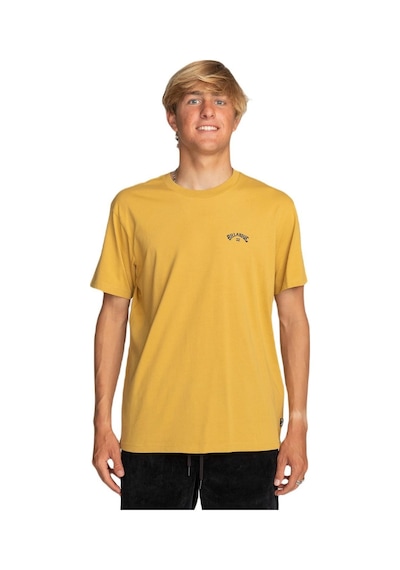 Billabong C1ss65bıp2 Arch Wave Erkek Tişört 001