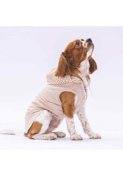 Pawstar Bej Gingham Kapşonlu Kedi Köpek Tişörtü Kedi Köpek Kıyafeti