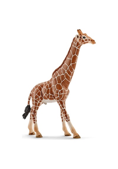 Schleich Erkek Figürü
