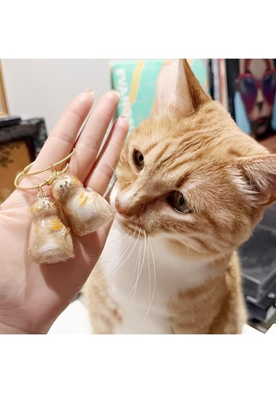 Zvnm Kedi Şeffaf Anı Anahtarlığı - Kedi Figürlü - Karışık Model Zcv12