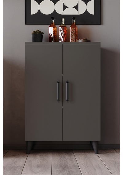 Eren 3 Raflı 2 Kapaklı Çok Amaçlı Dolap Mutfak Dolabı Banyo Dolabı Antrasit