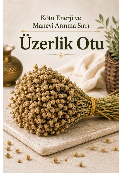 Yörem Afyon Kötü Enerji Ve Manevi Arınma Sırrı Üzerlik Otu, Nazar Otu Peganum Harmala 1 Demet