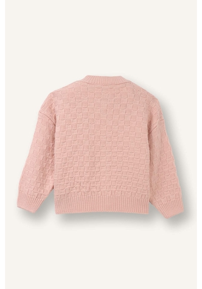 Defacto Bisiklet Yaka Hırka Kız Bebek H1268a526sppn190 Pembe-pn190