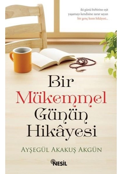 Bir Mükemmel Günün Hikayesi - Ayşegül Akakuş Akgün - Nesil  Yayınl