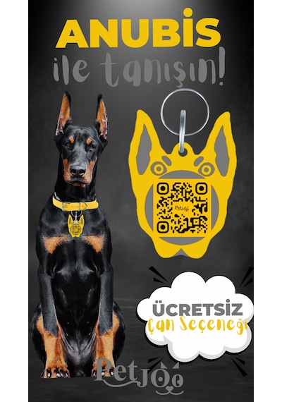 Petjoo 30.Anubis Gri-Sarı Qr'lı Köpek Künyesi
