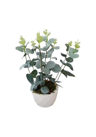 Dekoratif Yapay Eucalyptus Beton Saksıda Masaüstü Çiçek 27x20 Cm Beyaz