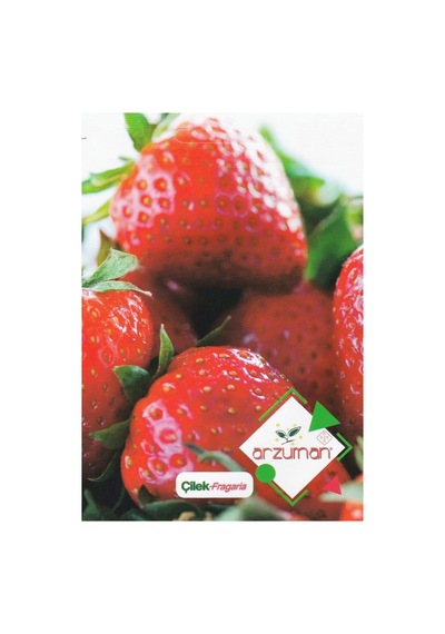 Çilek Tohumu Fragaria 100 Adet