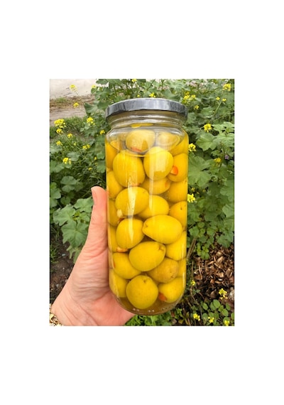 Portakal Kabuğu Dolgulu Yeşil Zeytin 500 Gr