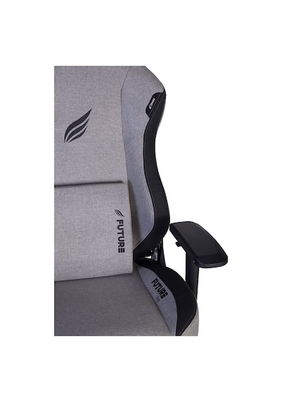 Hawk Future Gray 4d Kolçak Kumaş Gri Gaming Oyuncu Koltuğu Cccc1hwk0042 Çok Renkli