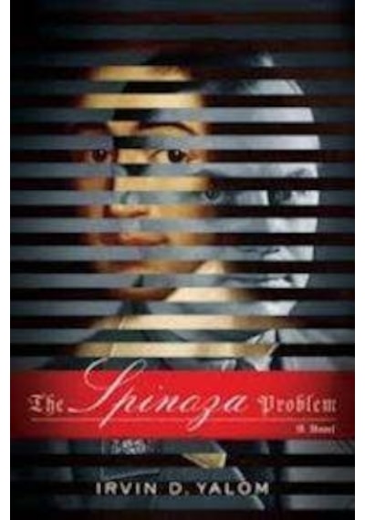 The Spinoza Problem 9780465061853
