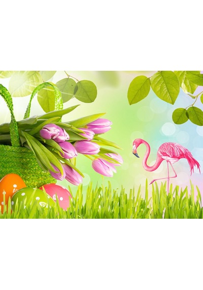 Flamingo Özel Tasarım Duvar Kağıdı