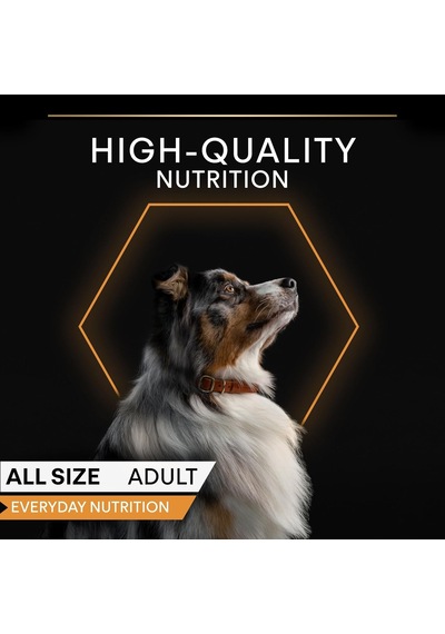 Yetişkin Köpekler İçin Hindili Konserve Yaş Mama 400 Gram 6 Paketi