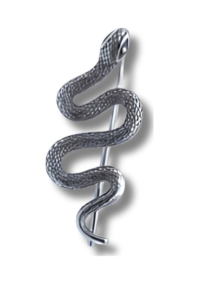 Tekli Snake Küpe Çelik