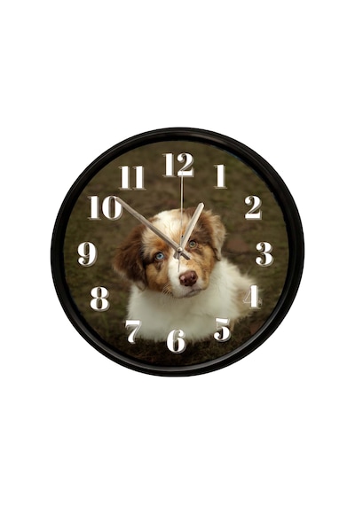 Sevimli Yavru Köpek Temalı Duvar Saati 28 Cm Sessiz Mekanizma Dekoratif Tasarım Çok Renkli