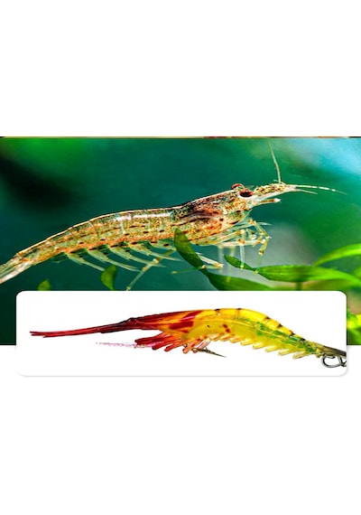 Karides Shrimp Balık Yemi Fosforlu Kancalı 7.5 Cm Sahte Sarı Yem