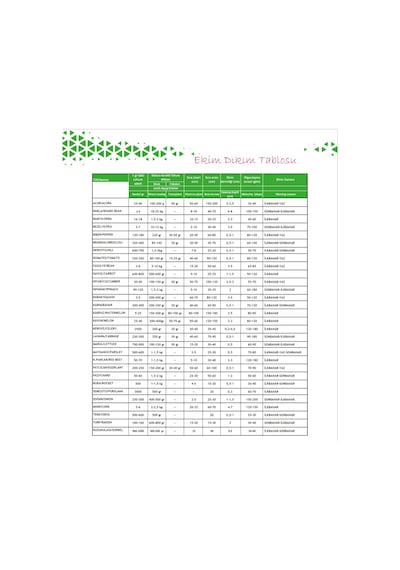 Cherry Çeri Pinpon Domates Tohumu250 Adet Paket