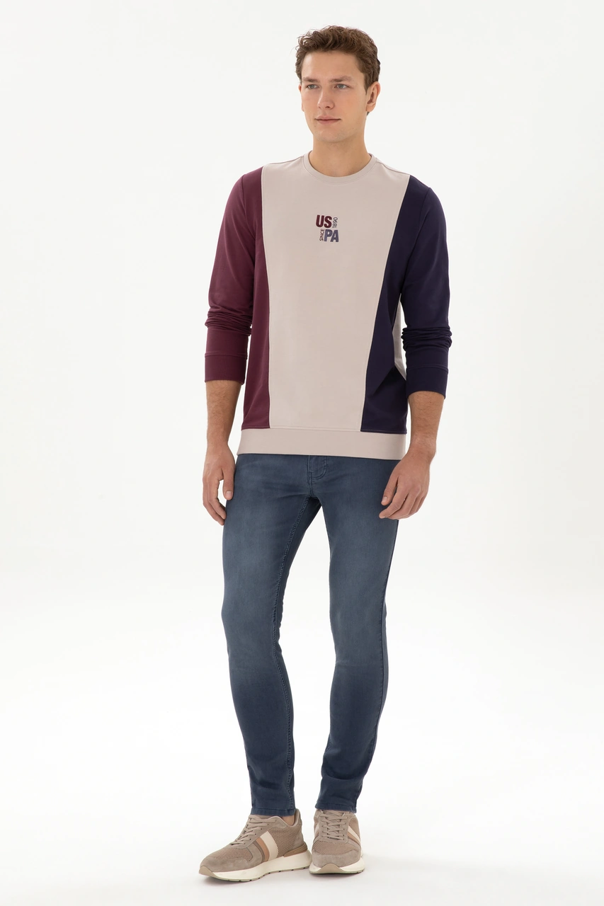 U.S. Polo Assn. Erkek Regular Fit Bisiklet Yaka Taş İnce Sweatshirt 50316379-VR049
