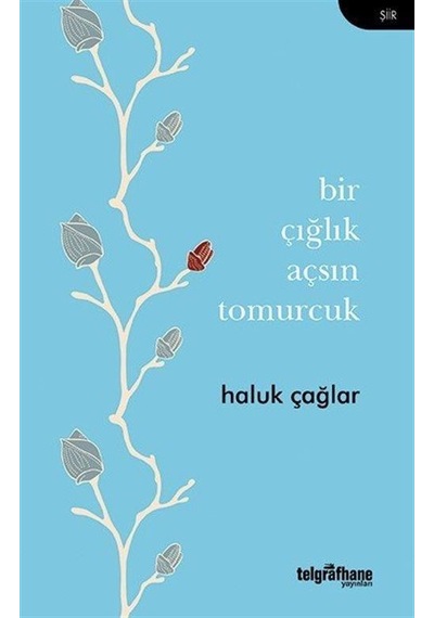 Bir Çığlık Açsın Tomurcuk - Haluk Çağlar - Telgrafhane Yayınları