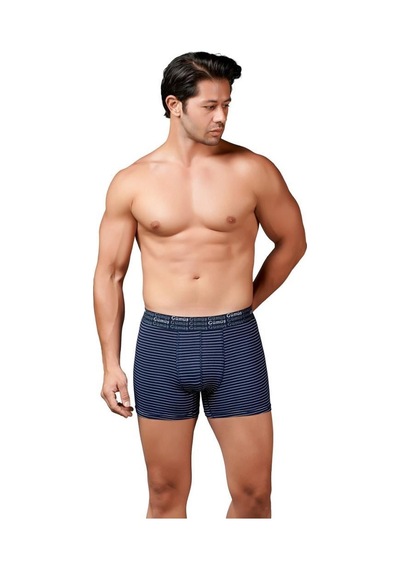 Gümüş Erkek Çizgili Likralı Spor Boxer 3114 001